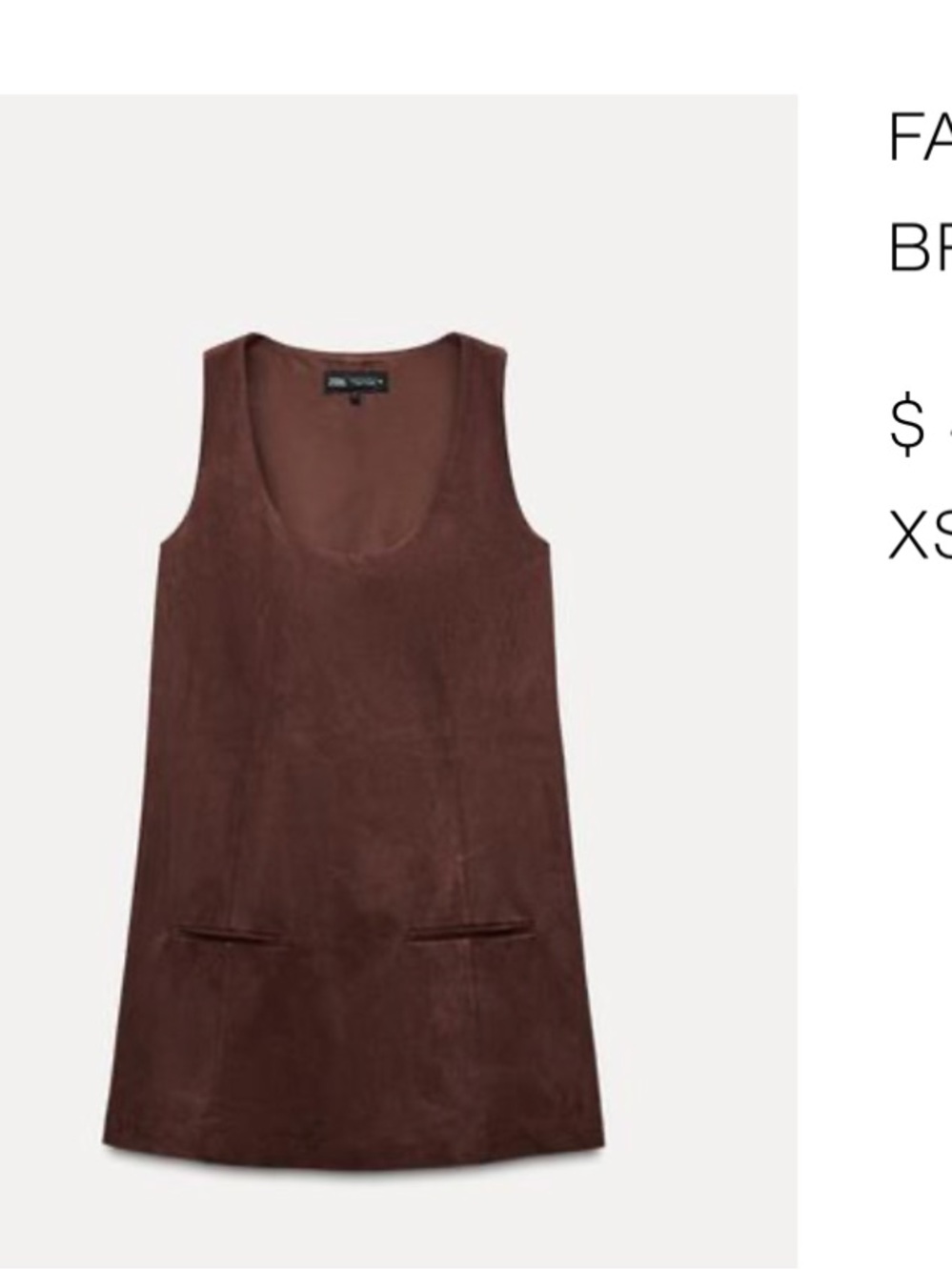 Zara Faux Suede Mini Dress in Brown